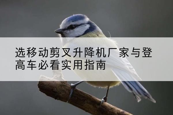 杜集电动升降机厂家-选移动剪叉升降机厂家与登高车必看实用指南