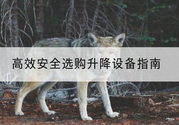杜集升降货梯厂家推荐-*安全选购升降设备指南