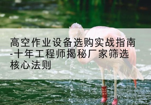 杜集剪叉式升降机厂家-高空作业设备选购实战指南-十年工程师揭秘厂家筛选核心法则